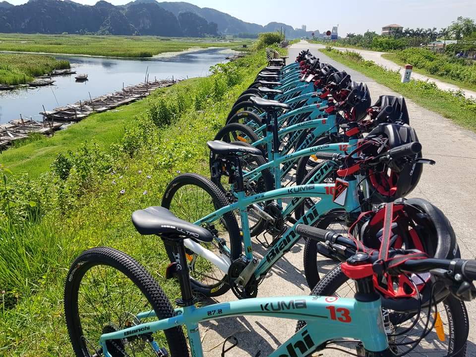 Mountain Bikes